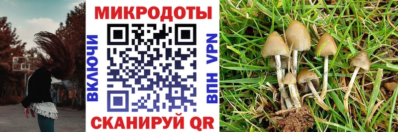наркошоп  kraken маркетплейс  Псилоцибиновые грибы Magic Shrooms  Дмитров 
