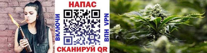 Марихуана семена Дмитров